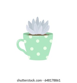 illustration of cute succulent plant in cup on white background. can be used for cards or posters