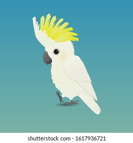 An illustration of a cute sulphur-crested cockatoo
