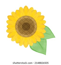 Illustration of a cute sunflower with big flowers