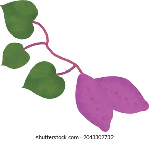 Illustration of cute sweet potatoes with leaves