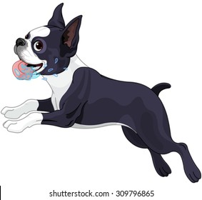 Illustration of cute Terrier Boston