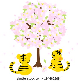 Illustration of cute tigers looking up at the cherry blossoms