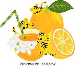 Illustration of cute tigers and whole orange juice