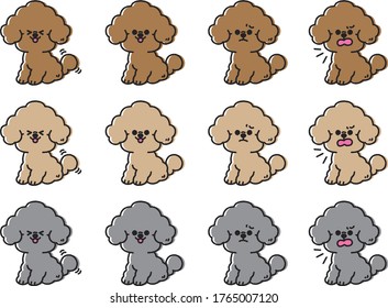 Illustration of a cute toy poodle dog.