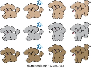 Illustration of a cute toy poodle dog.