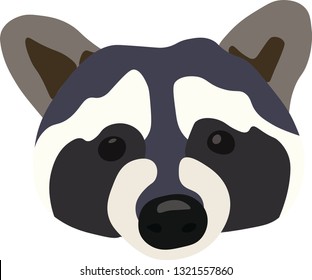 Illustration of a cute trash panda/ raccoon