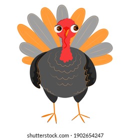 
Illustration of a cute turkey in a cartoon style. Picture for children. Isolated on white. Vector.