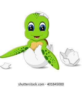 illustration of Cute turtle cartoon
