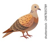 Illustration of cute turtle dove bird isolated