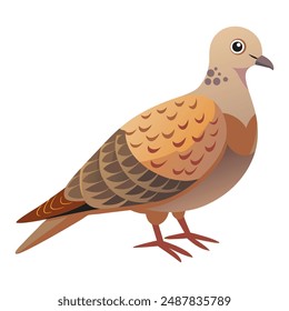 Illustration of cute turtle dove bird isolated