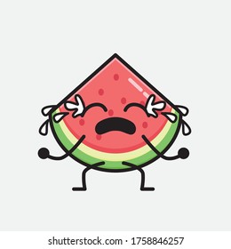 An illustration of Cute Watermelon Mascot Vector Character in Flat Design Style