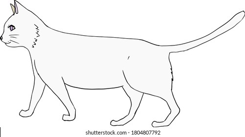 Illustration of a cute white cat walking