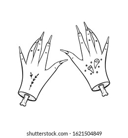 Illustration of a cut-off witch hand . 