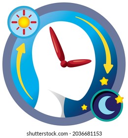 Illustration the cycle of a person's biological clock. Ideal for visual communication, veterinary newsletters and institutional material