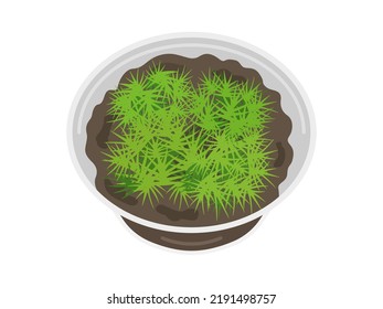 Una ilustración del musgo ciprés en un caso.