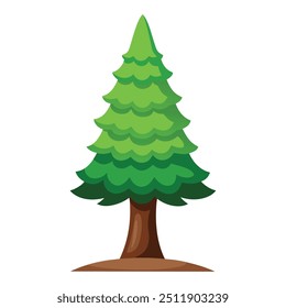 Illustration of Cypress tree isolated on white