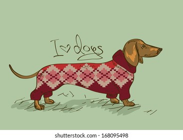 Illustration with Dachshund dog dressed in knitted clothes