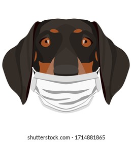 Illustration Dachshund dog with respirator 
