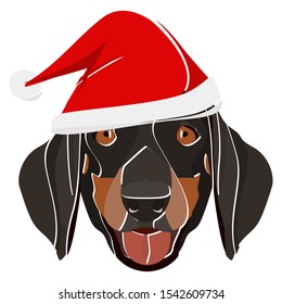 Illustration dachshund with red Santa hat 
