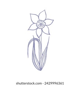 illustration with daffodil drawn in vector, spring flower, card for Mother's Day and Easter,