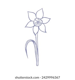 illustration with daffodil drawn in vector, spring flower, card for Mother's Day and Easter,