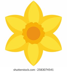 Illustration of daffodil flower vector