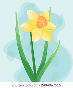 Illustration of a Daffodil or Narcissus Flower