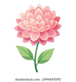 Illustration of Dahlia light pink flower isolated