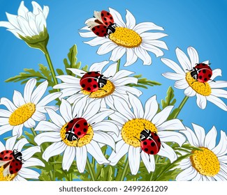 Illustration with daisies and ladybugs.Vector illustration with daisies and ladybugs on a colored background.