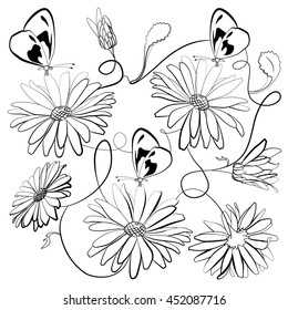 Illustration daisy