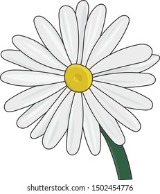 Illustration of a daisy flower