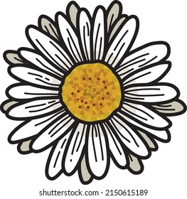 
illustration of a daisy flower with white petals and yellow pistil