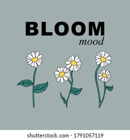 ILLUSTRATION OF A DAISY FLOWERS, SLOGAN PRINT VECTOR