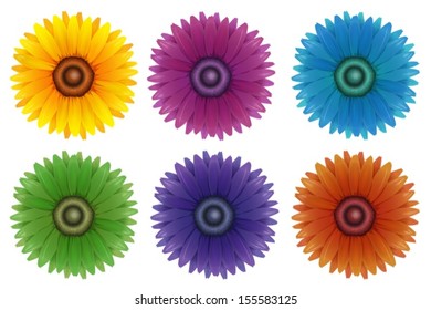 Illustration der daisyheads