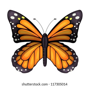 Ilustración de un plexipo danaus sobre un fondo blanco