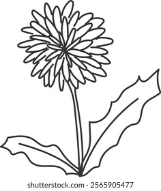 An illustration of a dandelion with distinctive hand drawn lines