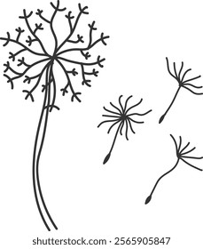 An illustration of a dandelion with distinctive hand drawn lines