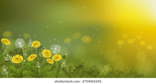 Illustration of a Dandelion field against the backdrop of sunrise