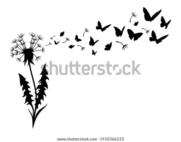 タンポポと飛ぶ種のイラスト 飛ぶ蝶のふわふわした花のシルエット 自然の装飾デザイン 夏野原 花の白黒のイラスト のベクター画像素材 ロイヤリティフリー