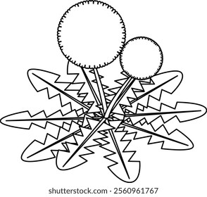 Illustration of a dandelion turning into fluff