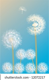 illustration with dandelions on blue background