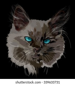 ilustração com retrato de gato escuro isolado no fundo preto