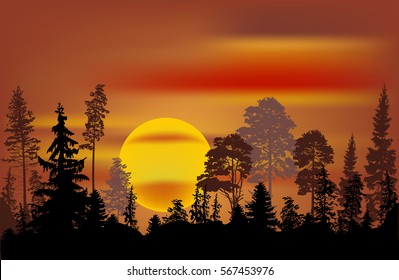 illustration with dark forest at orange sunset