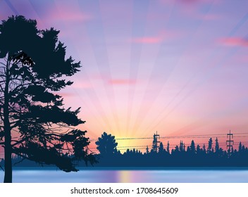 illustration with dark forest at red sunset