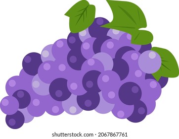 Illustration of a dark grape. Isolated on white background. Idea for stickers, printing, children's book, advertising. Vector art