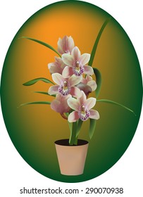 illustration with dark orchid in pot