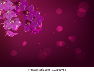 illustration with dark pink orchid flowers decoration