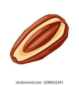 Illustration of date fruit. Tropical vegetarian food for healthy lifestyle.