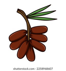 Illustration of dates from Arabic, which are usually eaten in the month of Ramadan