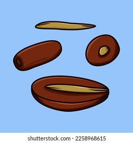 Illustration of dates from Arabic, which are usually eaten in the month of Ramadan